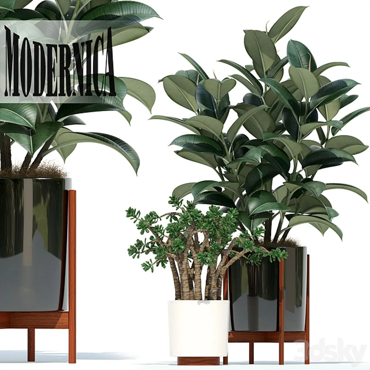 Plants collection 72 Modernica pots 3D Model