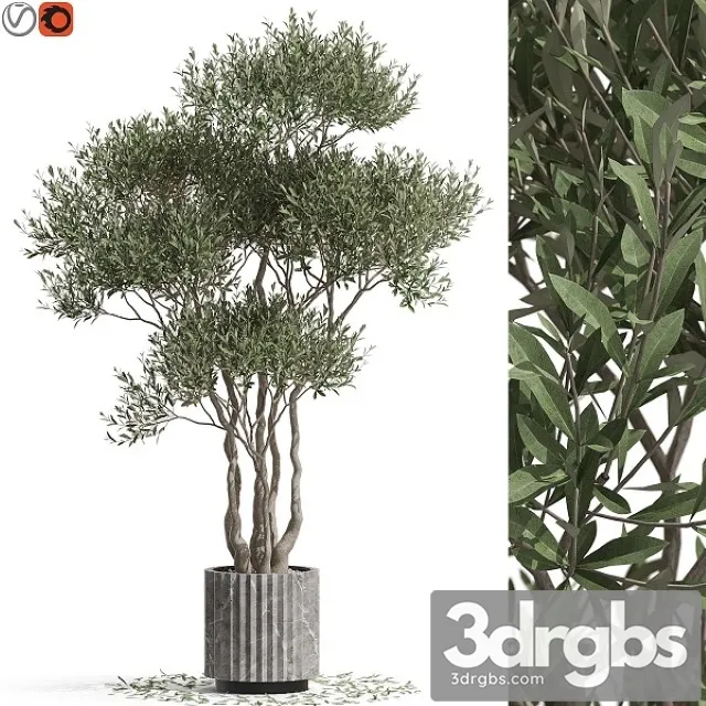 Plants Collection 723 3D Model Free