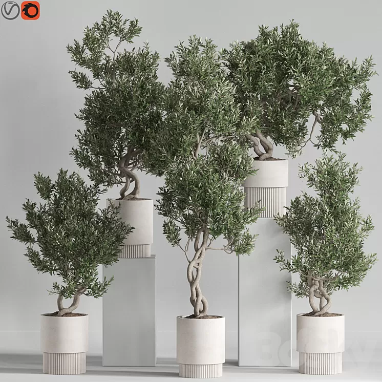 Plants collection 735 3D Model Free