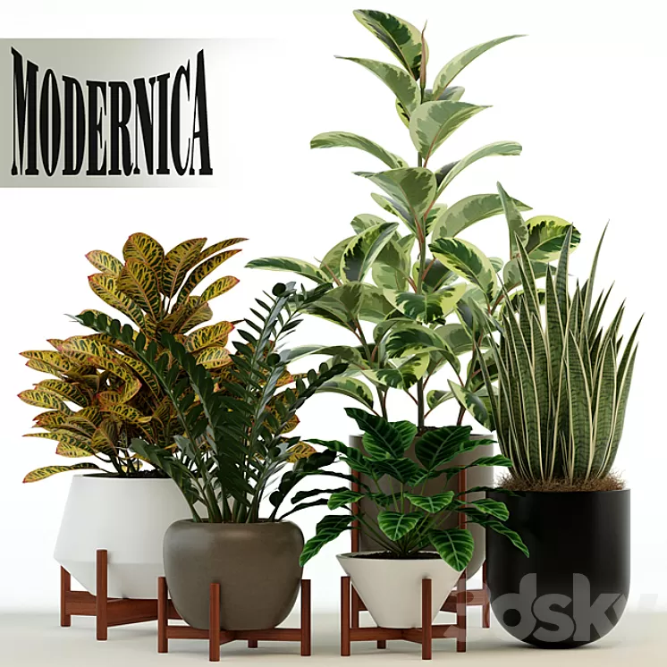 Plants collection 75 Modernica pots 3D Model