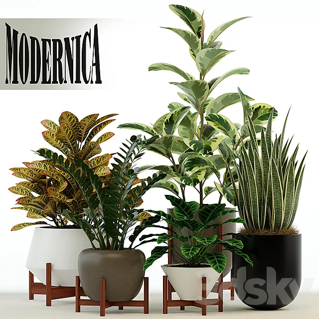 Plants collection 75 Modernica pots 3DModel
