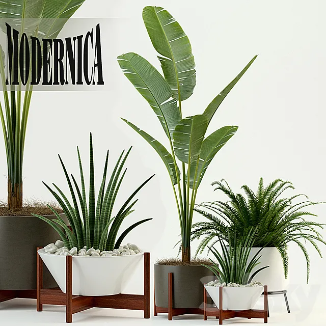 Plants collection 76 Modernica pots 3D Model