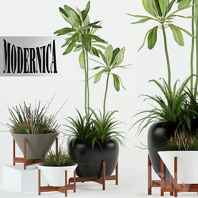 Plants collection 77 Modernica pots 3D Model