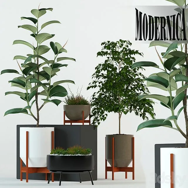 Plants collection 78 Modernica pots 3D Model