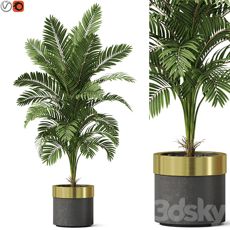 Plants collection 829 3D Model Free