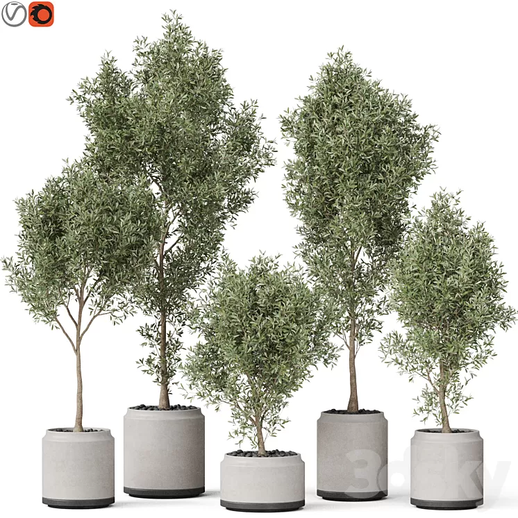 Plants collection 846 3D Model Free Download