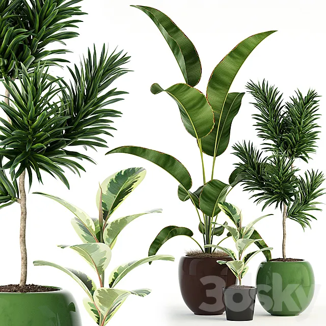 Plants collection 85 3DModel