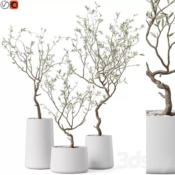 Plants collection 887 3D Model Free