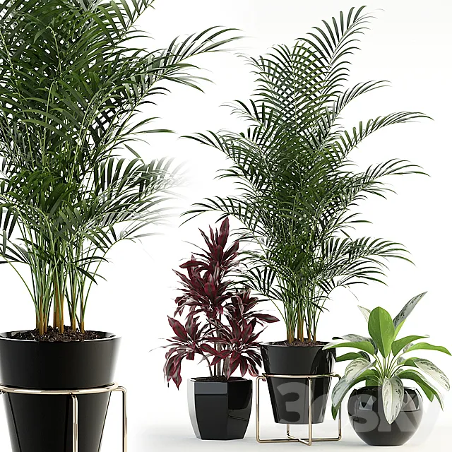 Plants collection 89 3DModel
