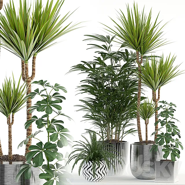 Plants collection 90 3DModel