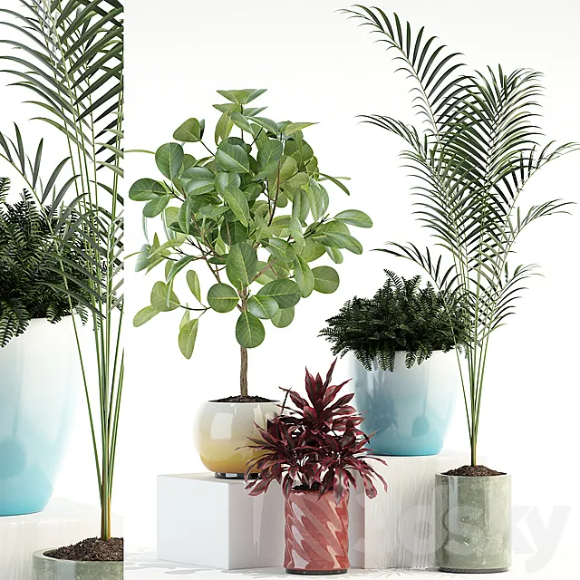 Plants collection 92 3D Model