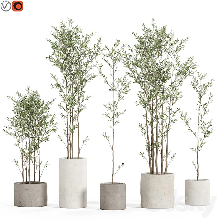 Plants collection 949 Free Download