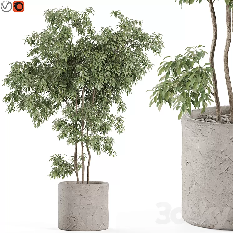 Plants collection 964 3D Model