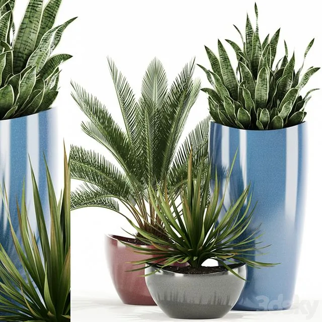 Plants collection 99 Awesomeplanters 3D Model