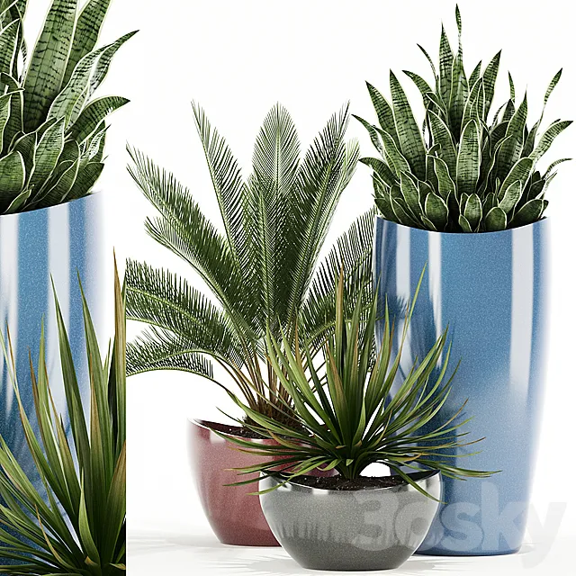 Plants collection 99 Awesomeplanters Free Download