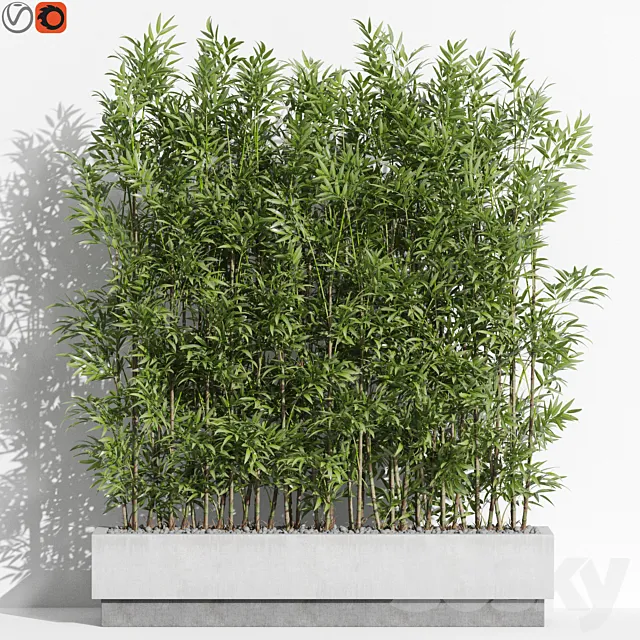 Plants collection 999 3D Model