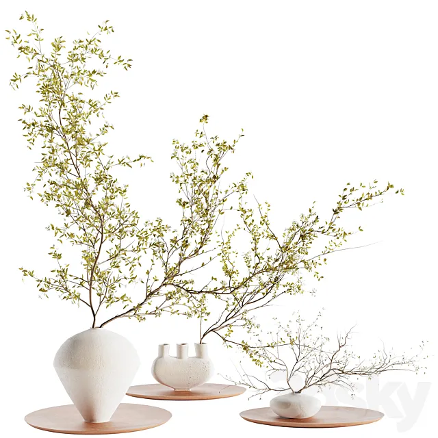 plants collection set 5 3D Model