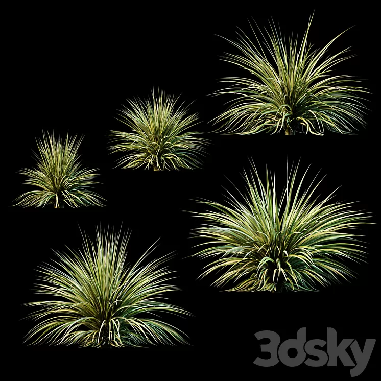 Plants for Exterior v2 3D Model