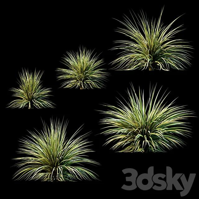 Plants for Exterior v2 3DModel