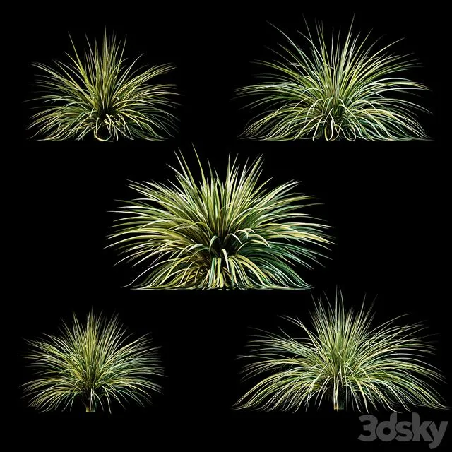 Plants for exterior v3 3D Model