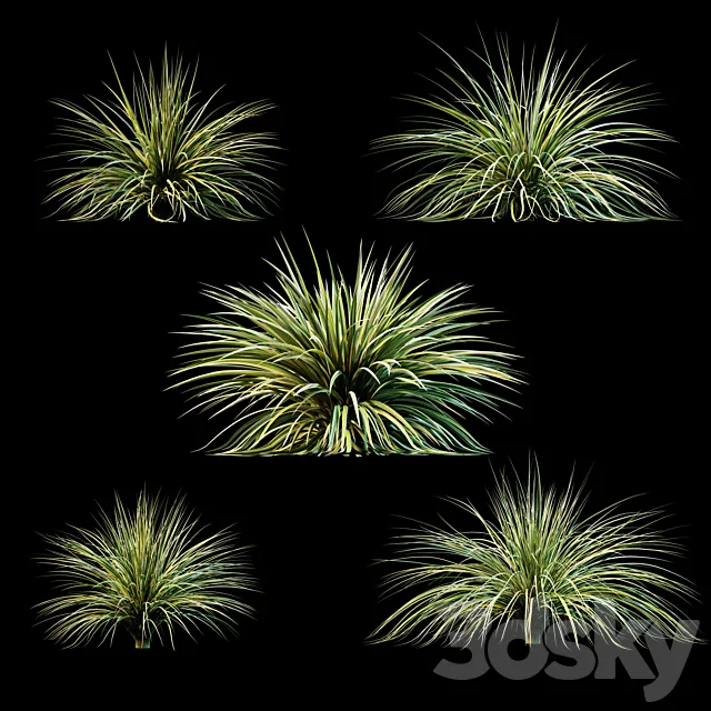 Plants for exterior v3 Free Download