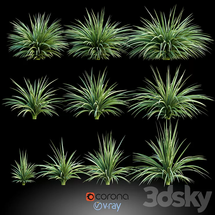 Plants for the exterior 3D Model