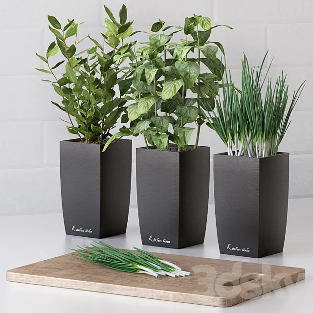 Plants for the kitchen 3DModel