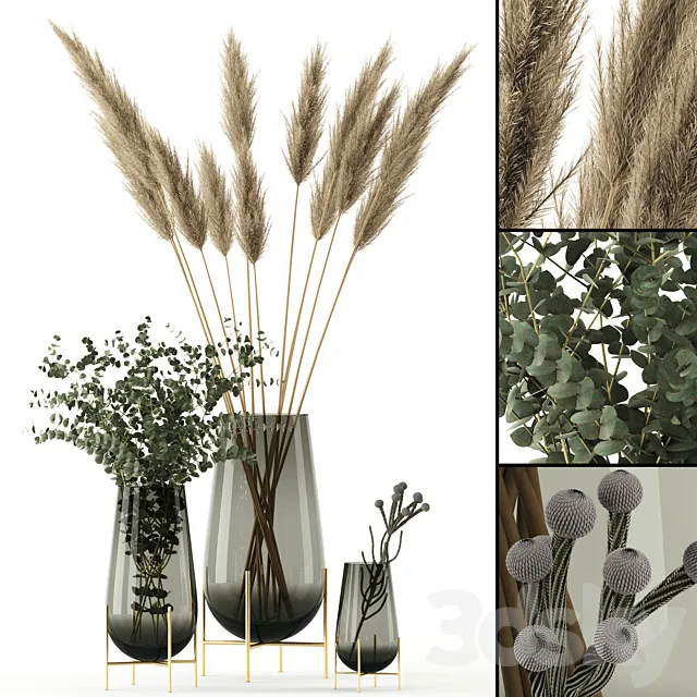 Plants in Echasse Vases 3DModel