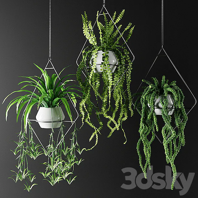 Plants in hanging flowerpots in diamonds | Plants in hanging flowerpots in diamonds 3D Model