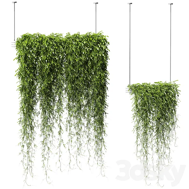 Plants in Hanging Planters v2. 2 models Free Download