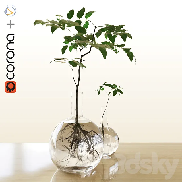 Plants in the flask 3DModel