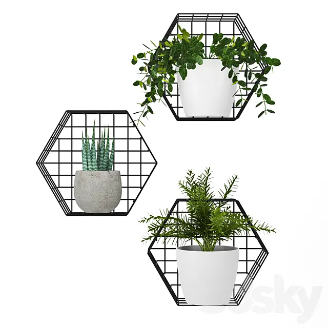 Plants on the wall 3DModel