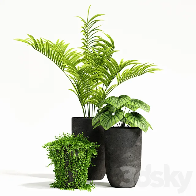 plants set 03 3DModel