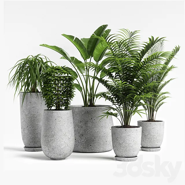 plants set 04 3D Model