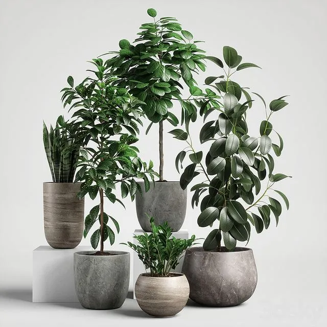Plants Set 10 3D Model