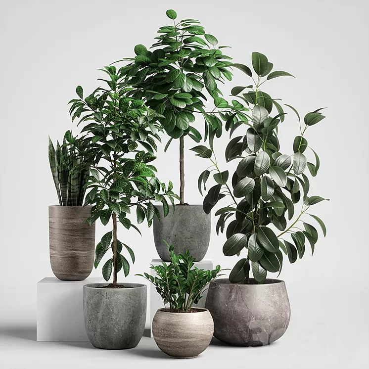plants set 10 3D Model