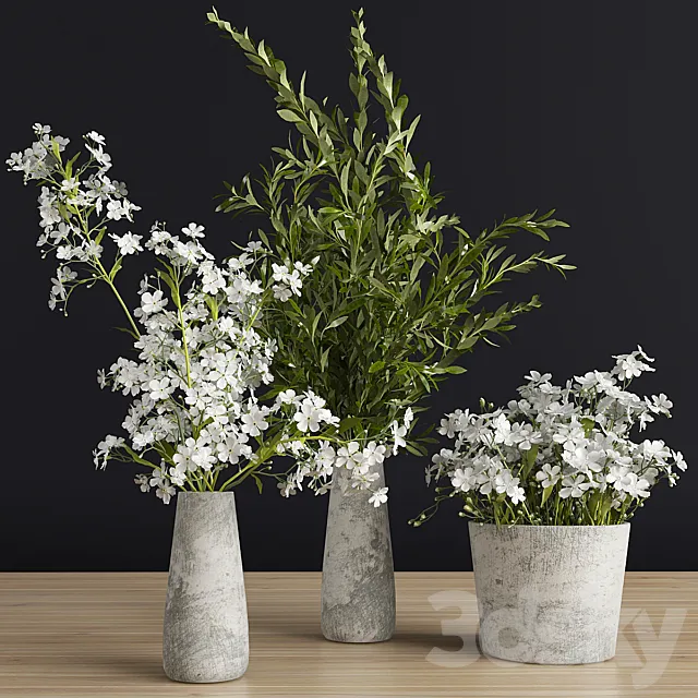 Plants set 3 3DModel