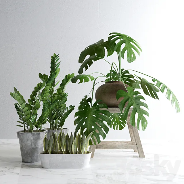 Plants Set 3D Model