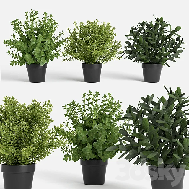 plants set 3D Model
