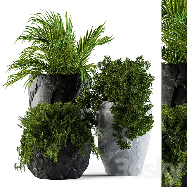 Plants set rock pot 3D Model