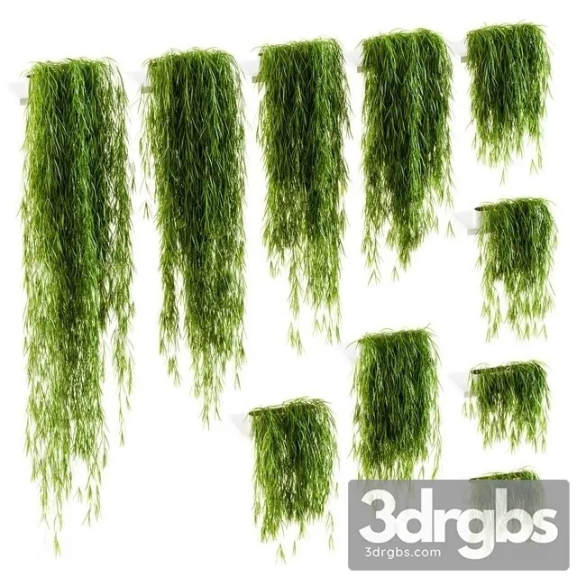 Plants The Shelves  10 Models 3D Model Free