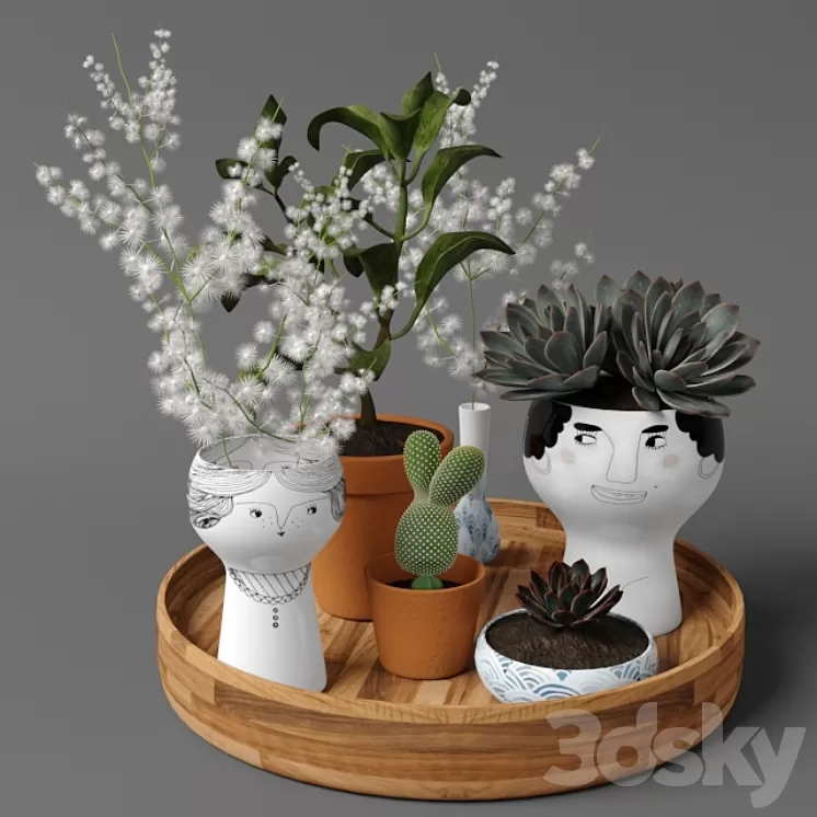 Plants tree 41 3D Model