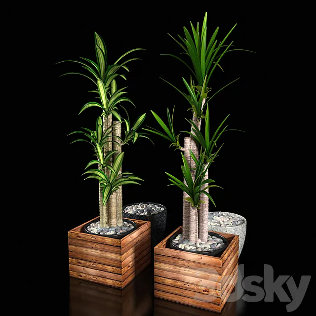PLANTS VOL 1 3D Model