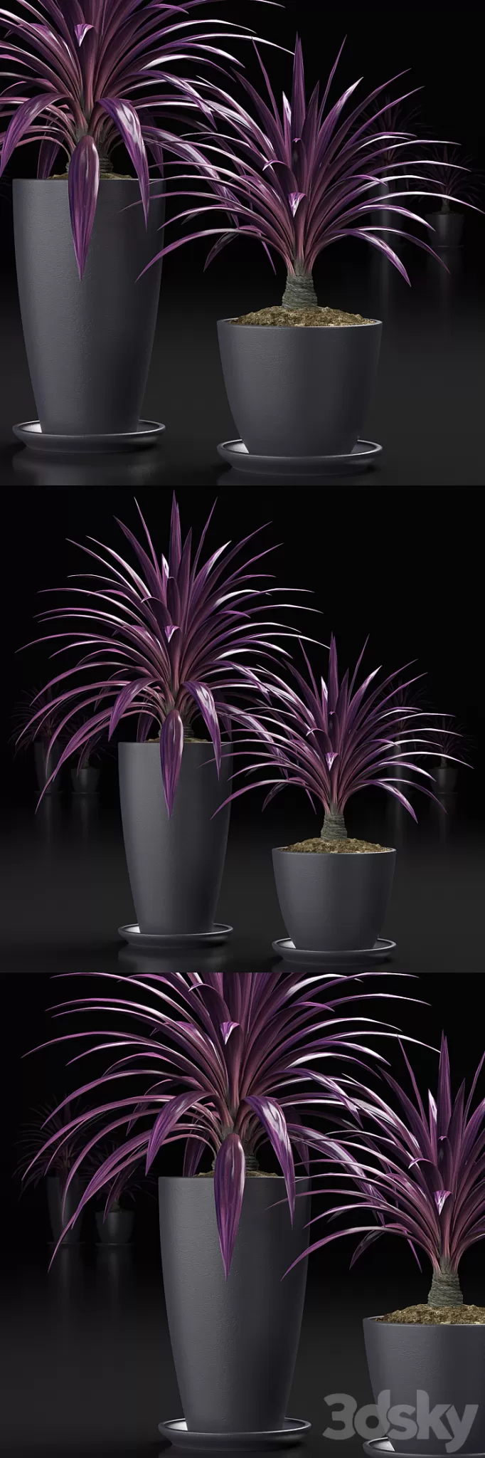 PLANTS_16 3D Model