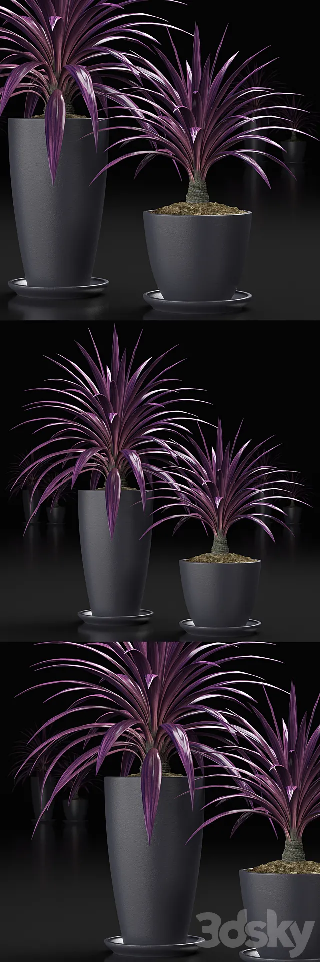 PLANTS_16 3DModel