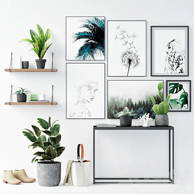 Plants_Set_Scandinavian 3D Model