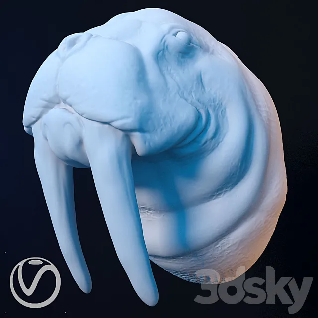 Plaster head of a walrus 3D Model