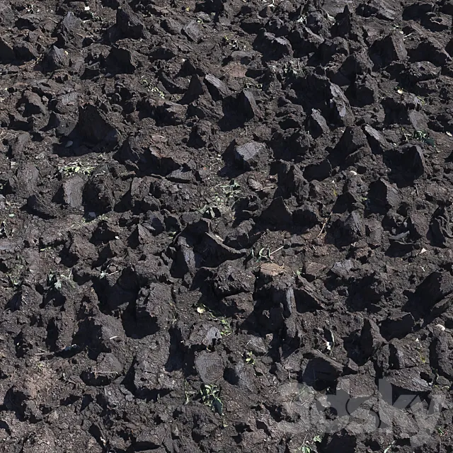 Plowed land_1 3D Model