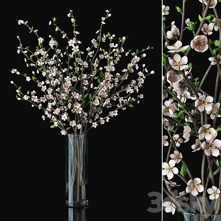 Plum blossom 03 3D Model