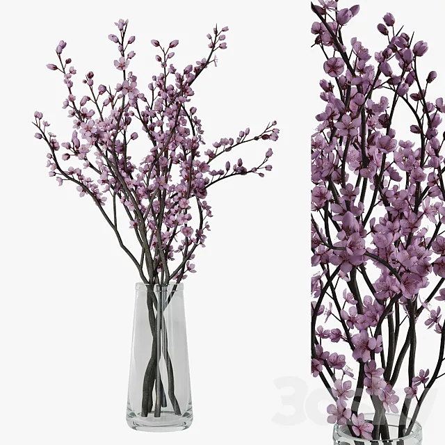Plum blossom 3D Model